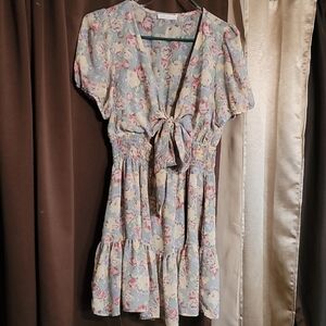 Blush Floral Mini Dress in Blue and Pink